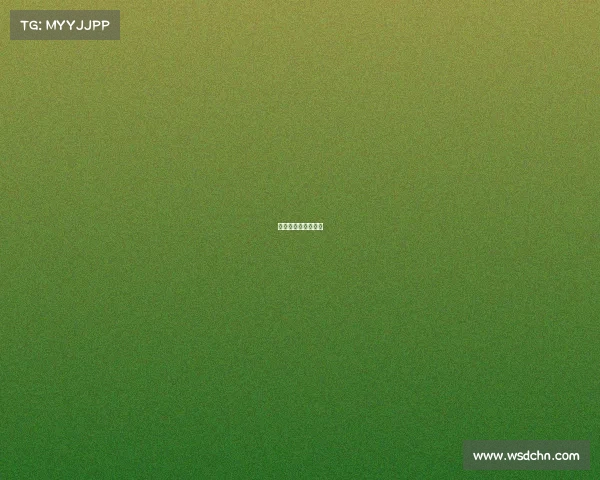 赛事承办流程及操作