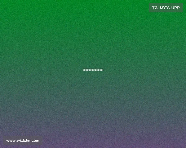 赛事项目总监、体育赛事总监