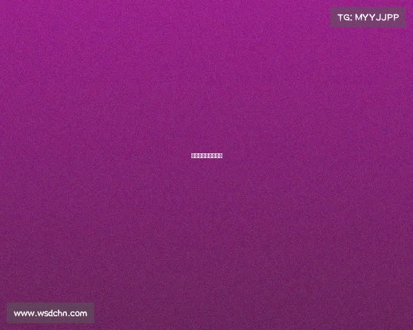 马术比赛有几个项目