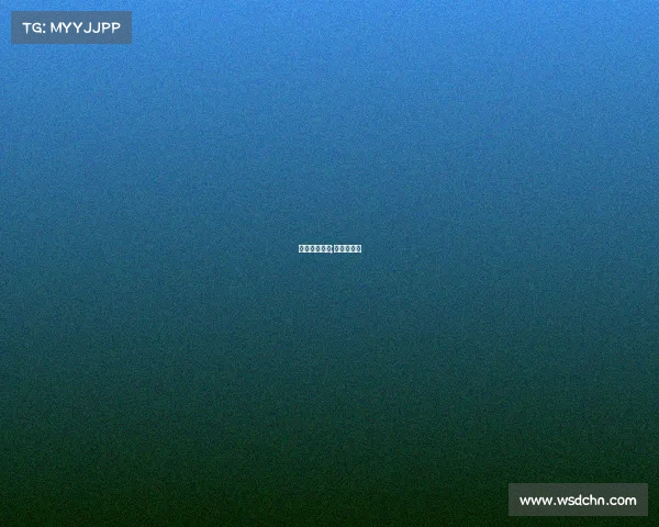 东北篮球赛事;东北篮球队