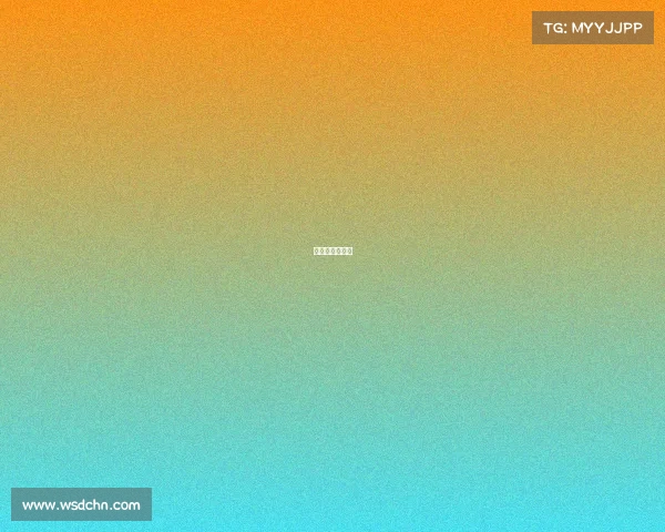 武术散打锦标赛